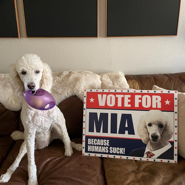 Custom for Rent Arrow Yard Sign 18 X 24, 2 Sided Add Your Text, Logo ...