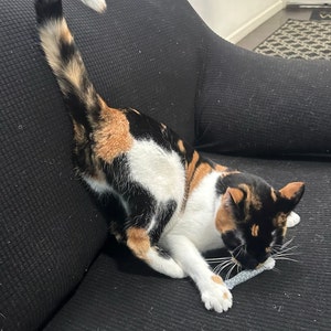Carine adicionaram uma foto da sua compra