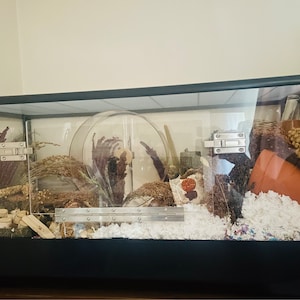 Sophie added a photo of their purchase