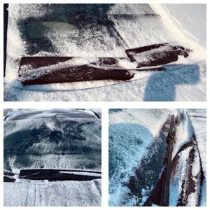 Tracy added a photo of their purchase