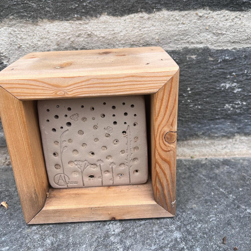 Bienensteine L im Lärchenholzrahmen