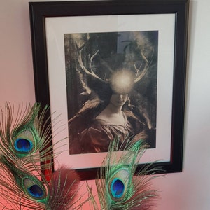 Melainakholee added a photo of their purchase