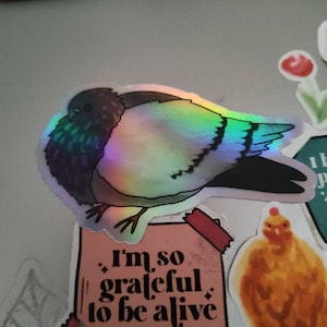 Emily added a photo of their purchase