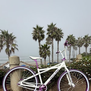 Ozzie heeft een foto van zijn/haar aankoop toegevoegd