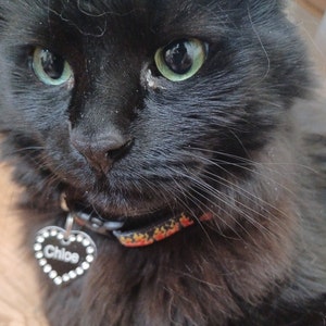 Nova added a photo of their purchase