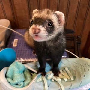 Linda ha añadido una foto de su compra