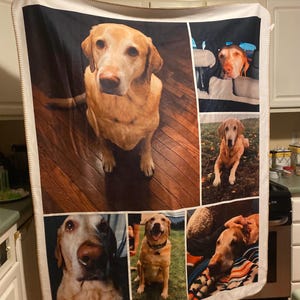 Sandra added a photo of their purchase