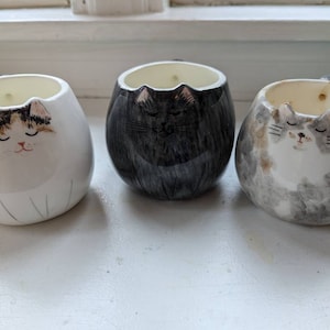 Laura added a photo of their purchase