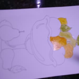 Lillian hat ein Foto des gekauften Artikels hinzugefügt