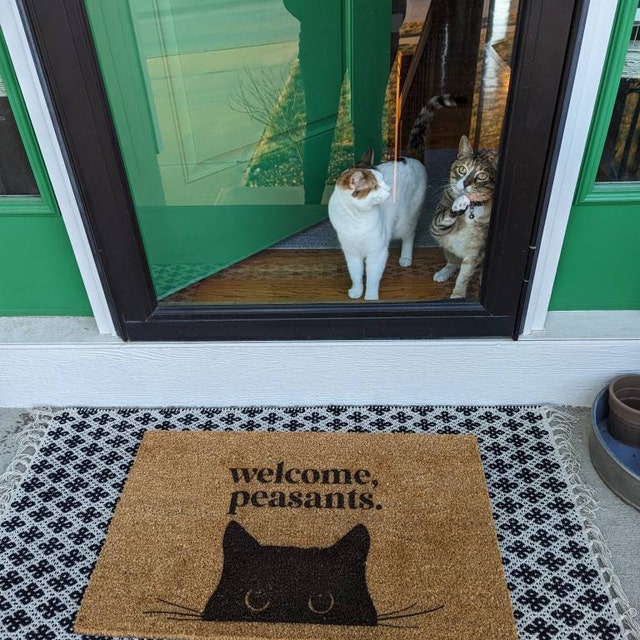 Athvotar Door Mats I Hope You Like Cats Monogram Funny Welcome mat