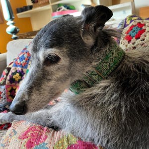 Jane added a photo of their purchase