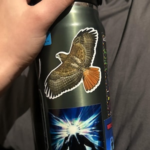 Anna adicionaram uma foto da sua compra