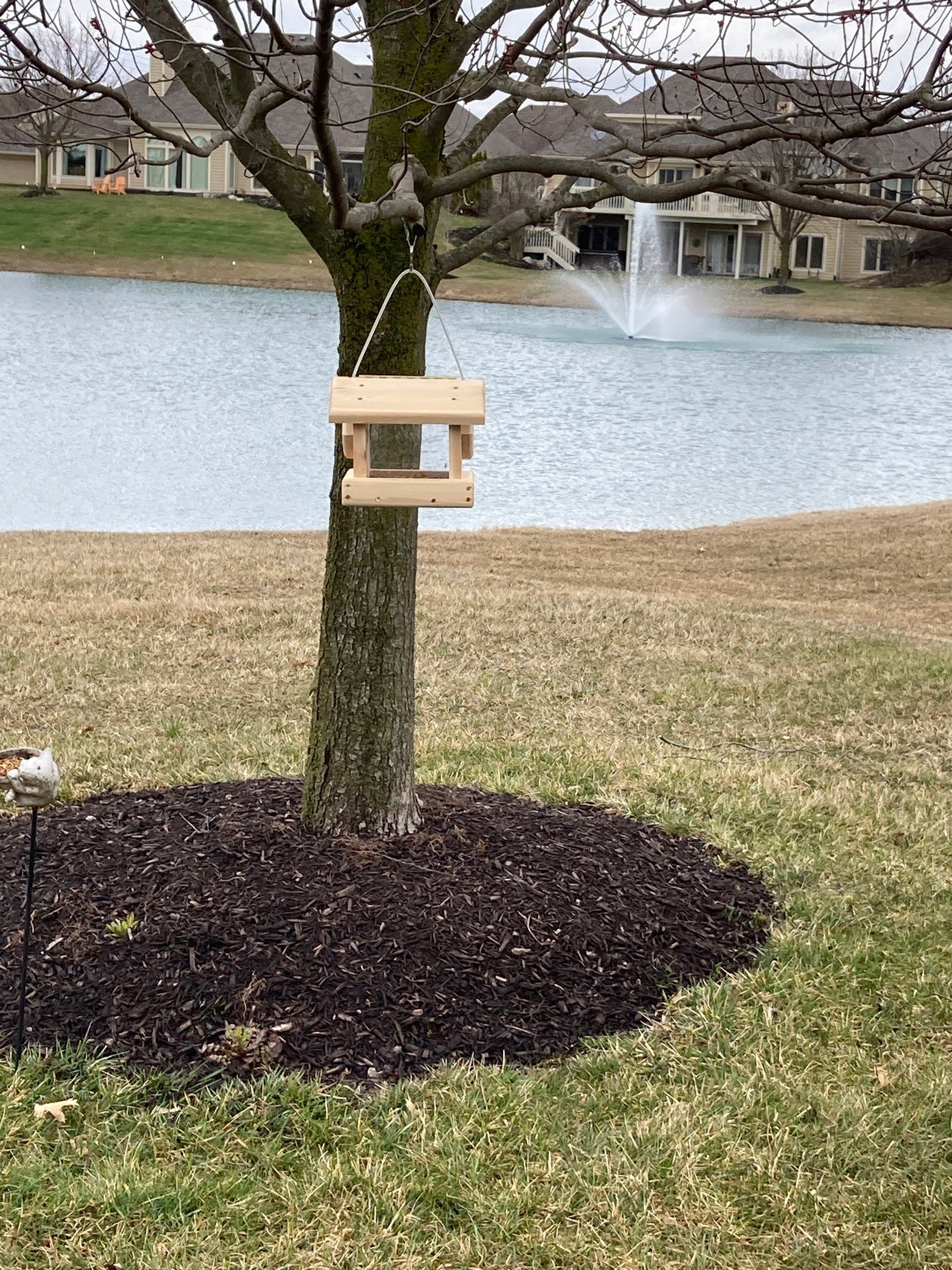 Blue Bird Feeder , Hanging or Pole Mount  Blue Bird Feeder