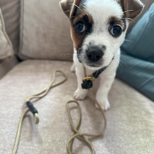 Stacy added a photo of their purchase