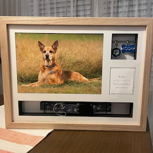 Haley adicionaram uma foto da sua compra