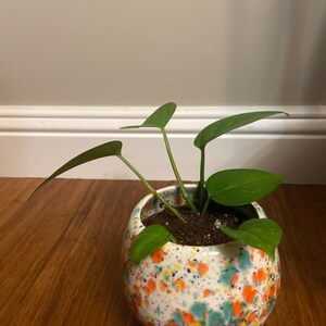 Nayeli added a photo of their purchase