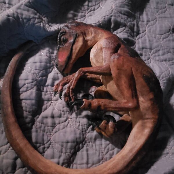 Sleeping Baby Velociraptor Art - Dinosaur - 3D Printed - Multiple ...
