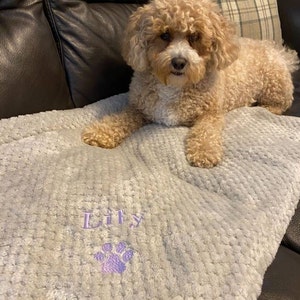 Hayley added a photo of their purchase