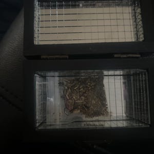 Maria added a photo of their purchase