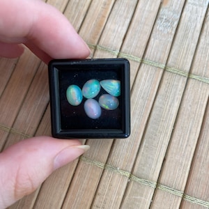 Ronja added a photo of their purchase