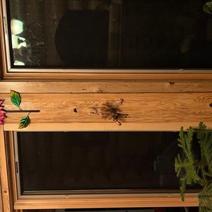 Mary added a photo of their purchase