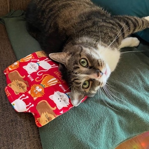 Amy added a photo of their purchase