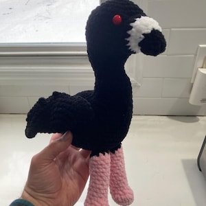 Matthew added a photo of their purchase
