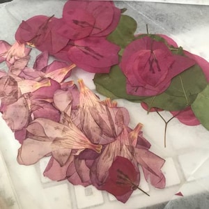 Inactive account added a photo of their purchase