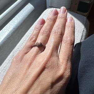 Julie added a photo of their purchase