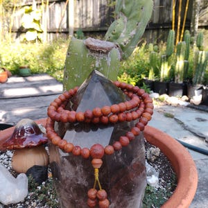 Dorje added a photo of their purchase