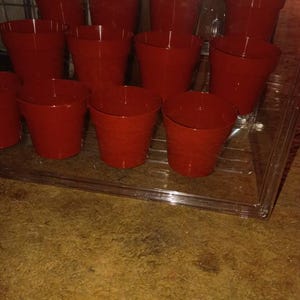 Pamela added a photo of their purchase