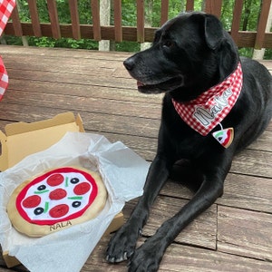 Personalized Pizza Dog Toys. Frisbee, Fetch,dog Toy, Snuffle Mat, Dog Gift,  Agility Training, Interactive, Sniff and Seek Toy, Pet Nose Work 