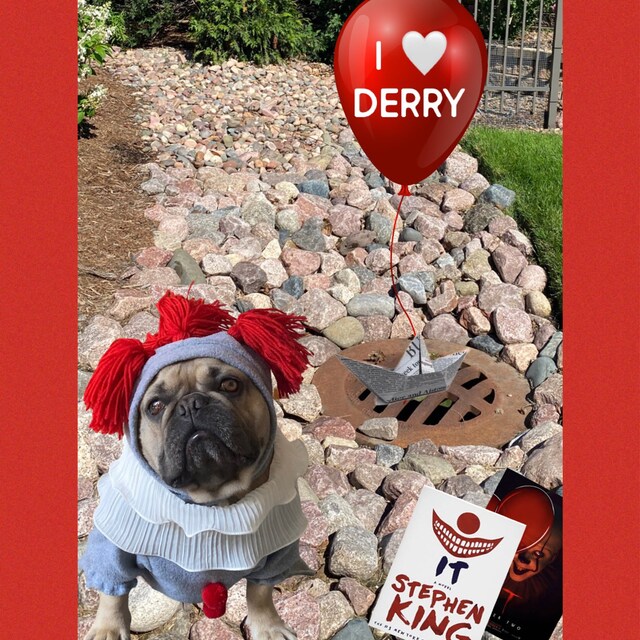 ハロウィン イット ダンシング ピエロ 犬 猫 ペット コスチューム