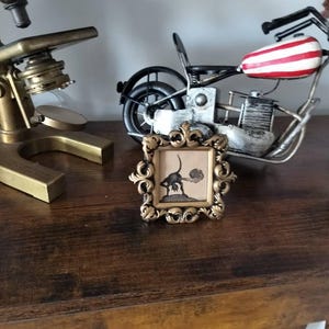 Goldy added a photo of their purchase