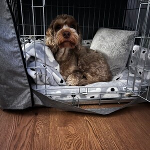 Natasha ha aggiunto una foto del proprio acquisto