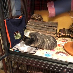 zsofia added a photo of their purchase