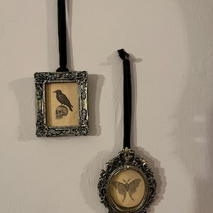 Lisa added a photo of their purchase