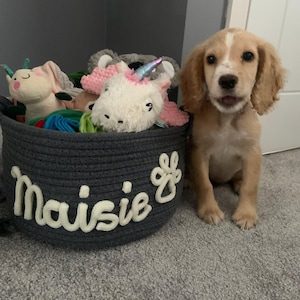 Laya added a photo of their purchase