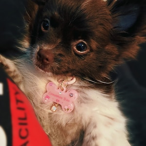 Angel added a photo of their purchase