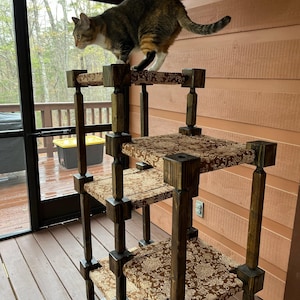 Cathy added a photo of their purchase