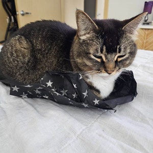 Angela added a photo of their purchase