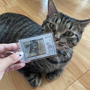 Lex added a photo of their purchase