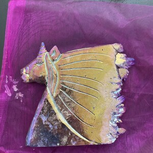 Sophia added a photo of their purchase