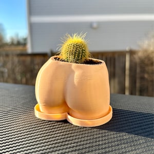 Curtis added a photo of their purchase