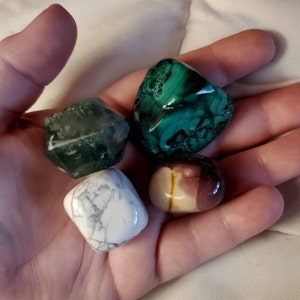 Jillian added a photo of their purchase