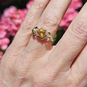 Melissa added a photo of their purchase