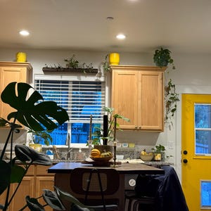 Alexandra added a photo of their purchase