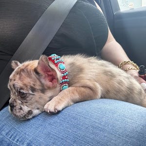 Etsy buyer added a photo of their purchase