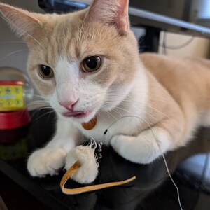 Comprador Etsy adicionaram uma foto da sua compra