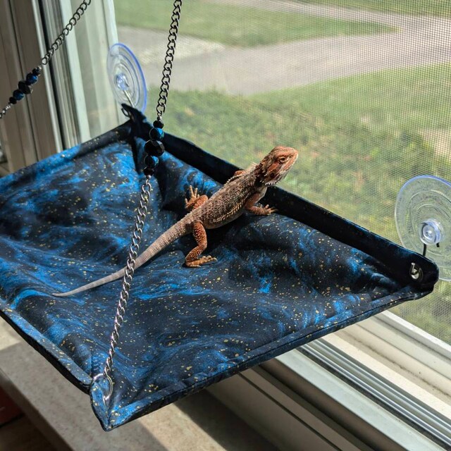 Bearded Dragon Window Perch, Lizard Window Hammock, Reptile Bed, Lizard Window Hammock, Reptile Tank Accessories, Suitable For Lizard Bearded Dragon
